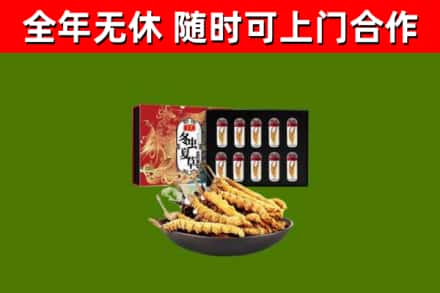 北辰区回收冬虫夏草价格
