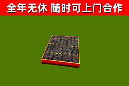 北辰区回收海参